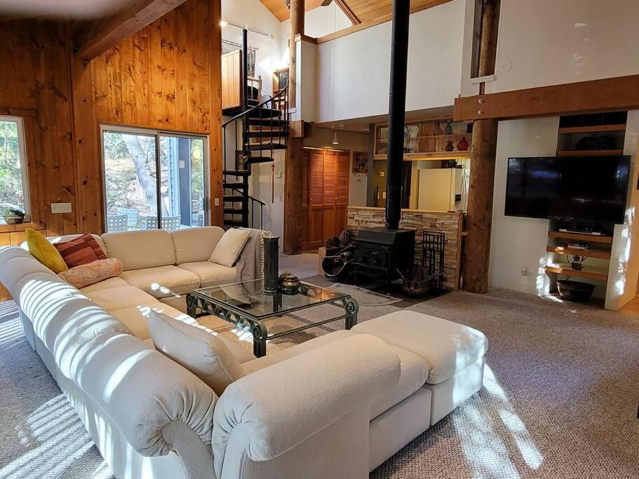 Pine Cove Casa De Los Arboles! Delight & Solitude Abound! מראה חיצוני תמונה